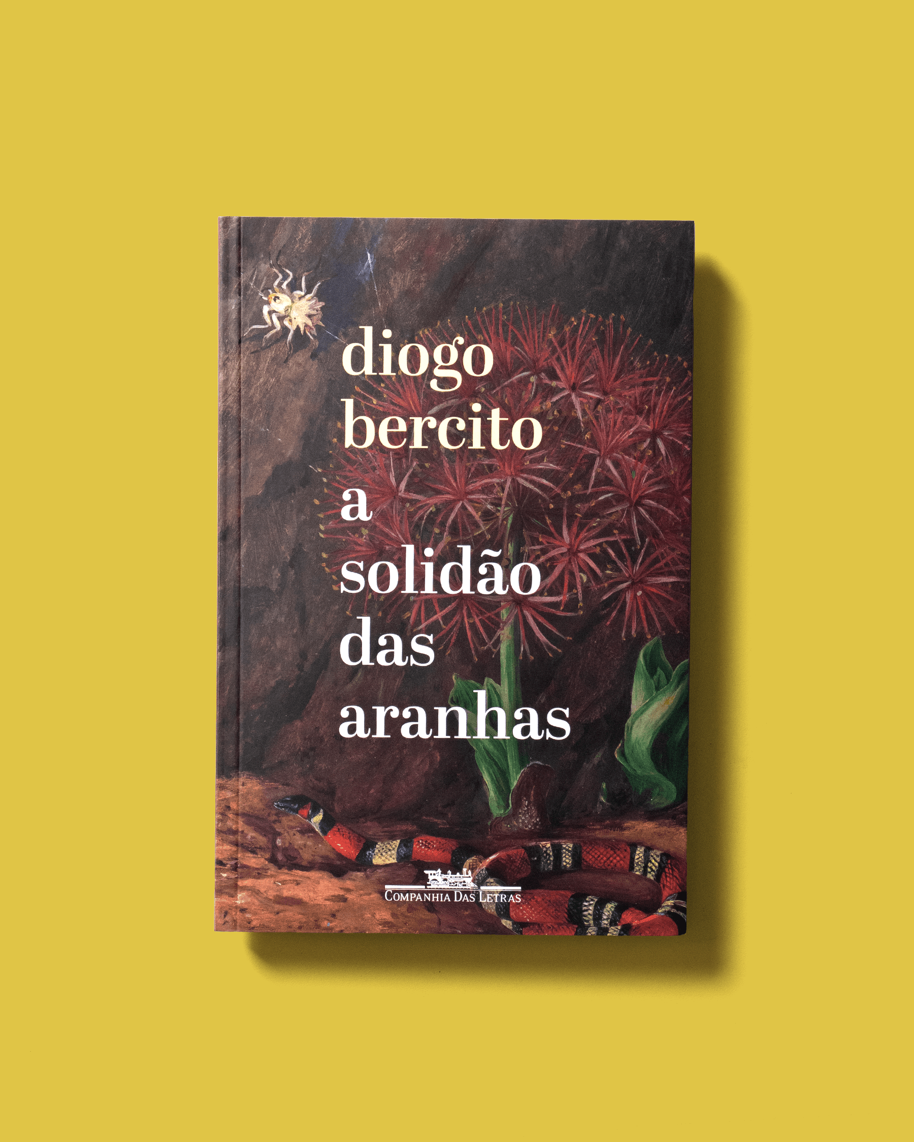 Capa de A solid&atilde;o das aranhas.